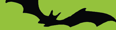 380x100 Bat Safety