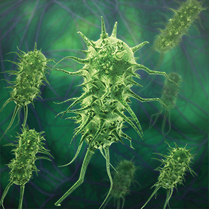 Disease 300X300