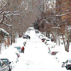 Snow 278X278