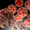 Measles Exposure in Spokane County