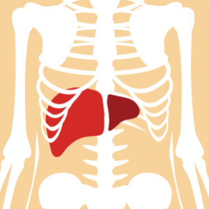 Hepatitis C Update for Clinicians—Important Information on Prevalence and Treatment