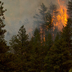 Prepare for wildfire smoke season during Smoke Ready Week: June 12-16