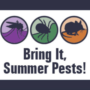 Bring It, Summer Pests!