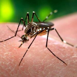 West Nile Virus Confirmed in Spokane County Residents