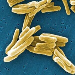 Tuberculosis Treatment for Health Care Providers