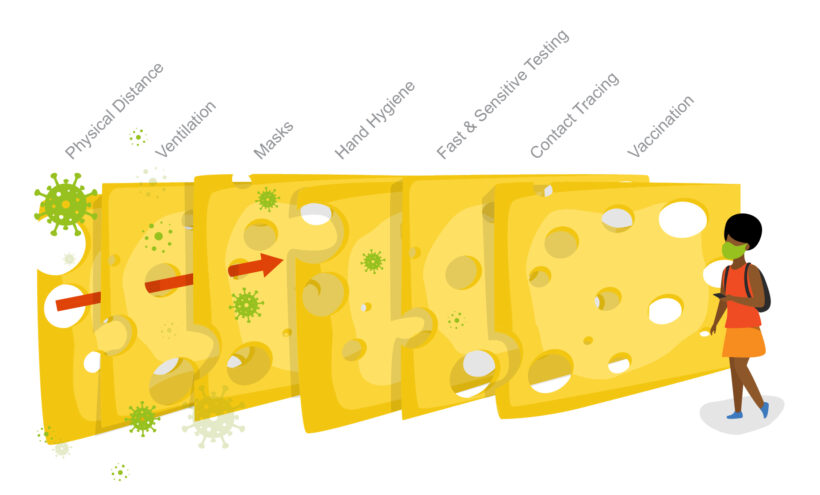 Adapted from virologydownunder.com